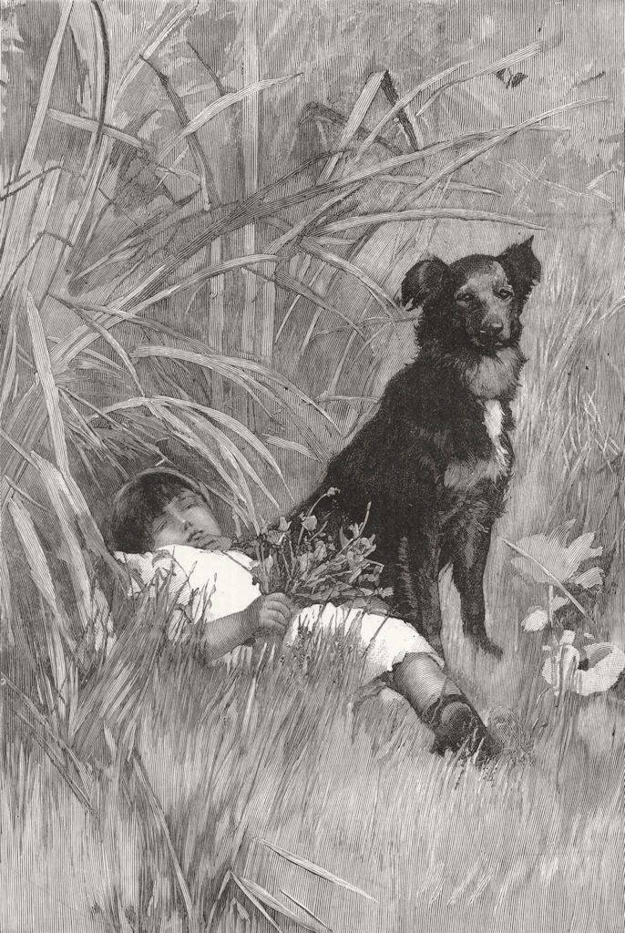 DOGS. On Guard. Dog guarding dozing child 1887 old antique print picture